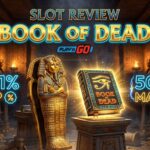 Book of Dead Slot Review Mathematical RTP & Play'n GO Volatility Audit Banner
